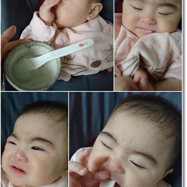 【離乳食】姫、生後５ヶ月になりました！王子の積み木の遊び方