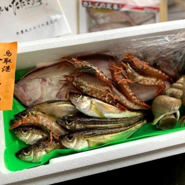鮮魚のお取り寄せをしてみました～