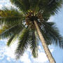 I　LOVE　Srilanka