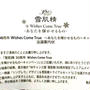 雪肌精さまより当選