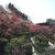 池上梅園