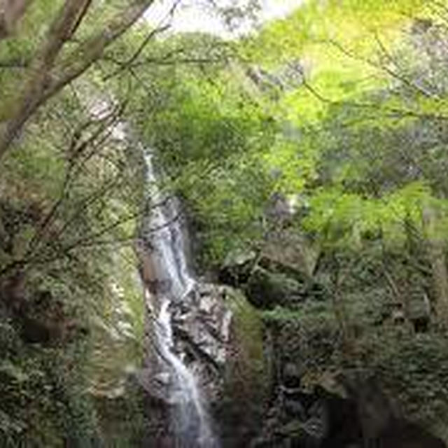 奇絶峡の紅葉はどうだろう。