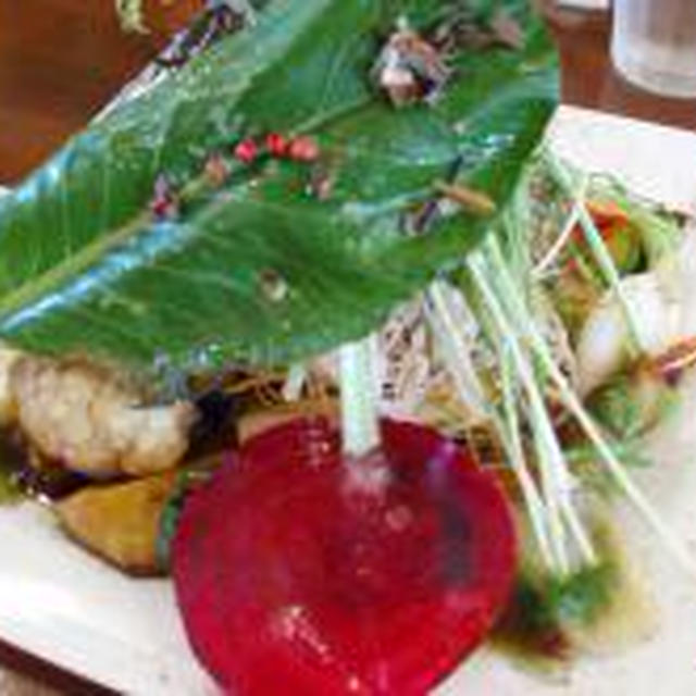 ☆たっぷり有機野菜のランチ☆