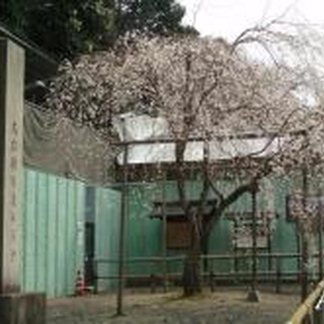 ☆醍醐寺：下伽藍, 三宝院☆