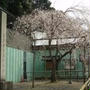 ☆醍醐寺：下伽藍, 三宝院☆