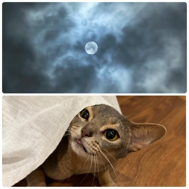 雲の隙間の月とカーテンの下の坊