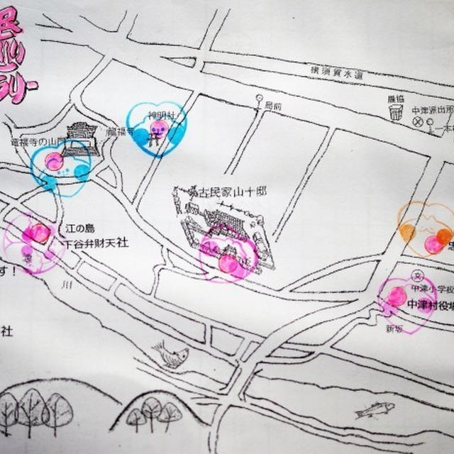 ■11/8日【熊坂区民史跡巡り　スタンプラリー】見た事も無い菊に感動！！
