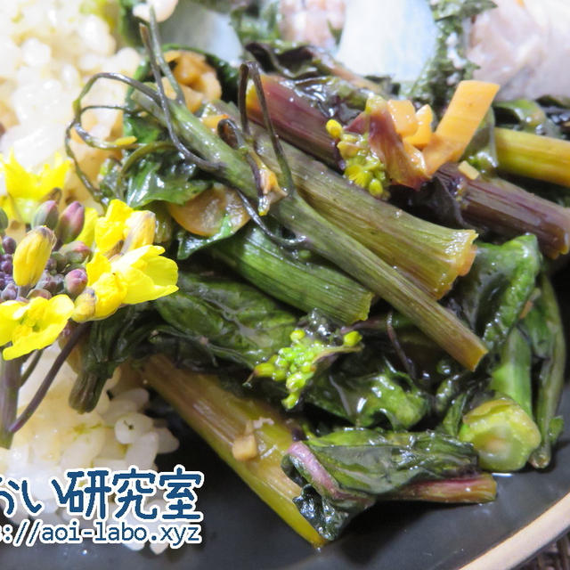 料理日記 108 / 紅菜苔の酢醤油炒め