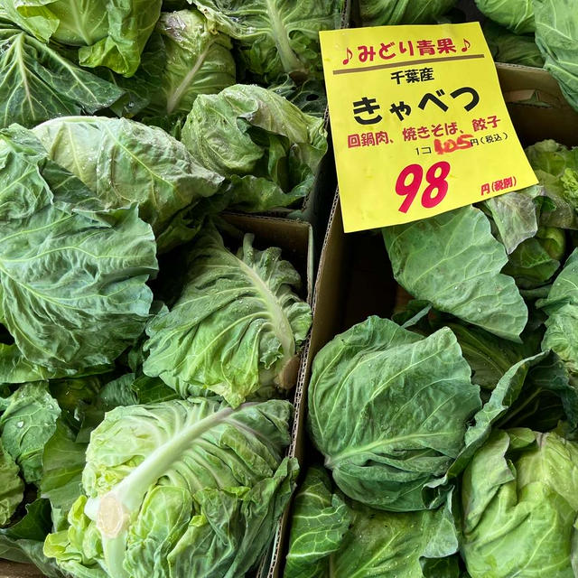 しっかり雨降りの中も、