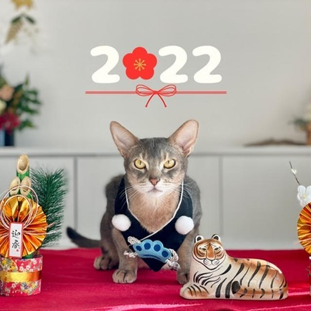 2022年あけましておめでとうございます