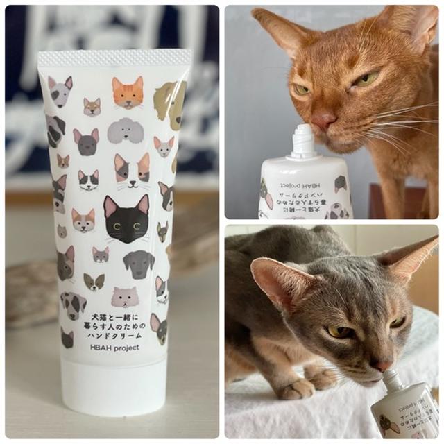 【PR】犬猫と一緒に暮らす人のためのハンドクリーム