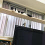 キャットタワー