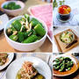 夏野菜の簡単副菜10選♡【#簡単レシピ#夏野菜】