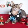 2020 あけましておめでとうございます