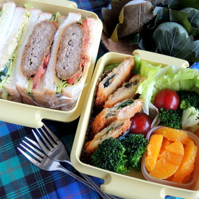 お弁当を持って☆近くの公園までピクニック～♪