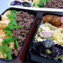 新学期からのお弁当♪