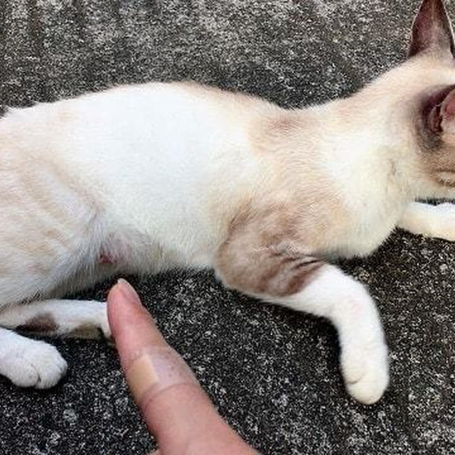 スシローの呪い！？  2度あることは3度ある・・・