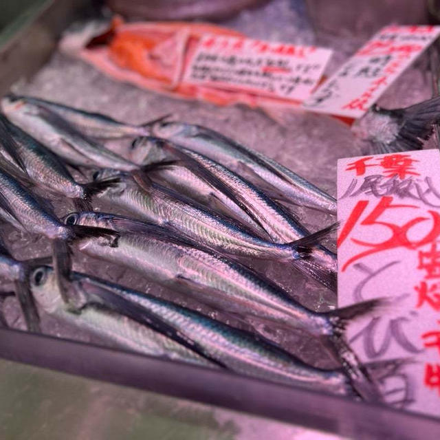 ナマコが冷蔵庫の中で内臓出してた