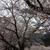 奈良下北山村