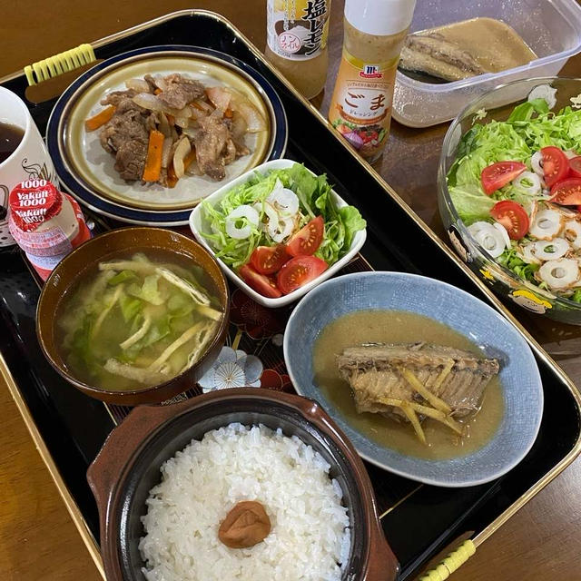 6.5 ☆ウチの夜ごはん❣️三太郎は鯖のみそ煮込み選びです。