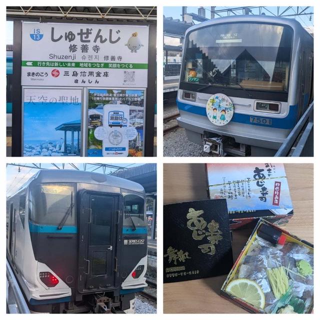 伊豆修善寺温泉に  踊り子号と伊豆箱根鉄道駿豆線に乗って行ってきました。