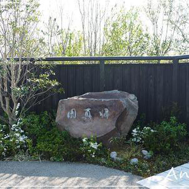 ☆素敵な日本庭園：二子玉川公園☆