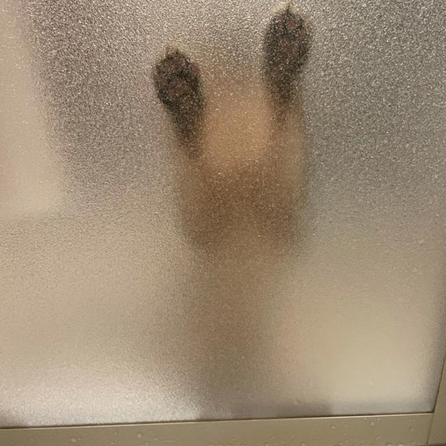 最前線で待ってる