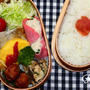 普通弁**ハム巻きたらもサラダ