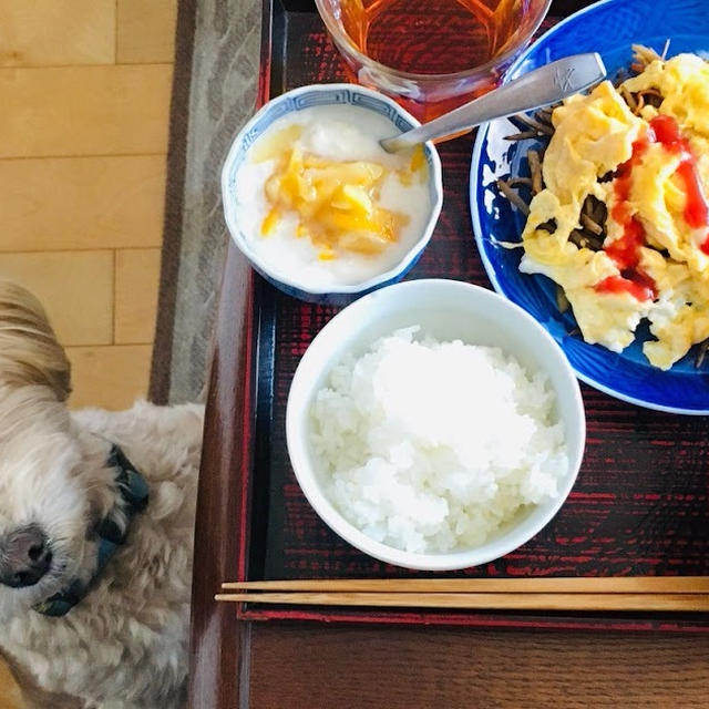 卵 on きんぴら定食