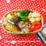 つくおき常備菜 と 焼き塩さばのお弁当