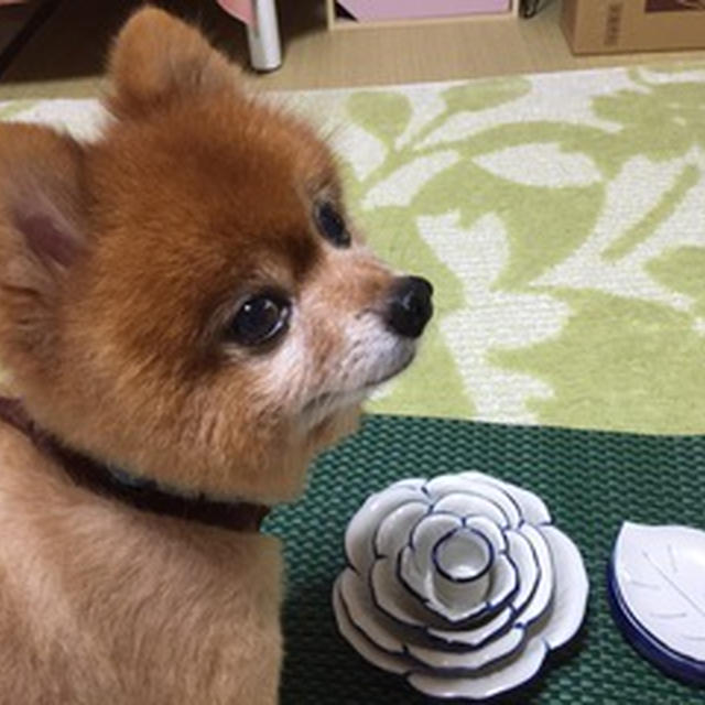 収納に便利で見た目めも素敵な掘り出し物
