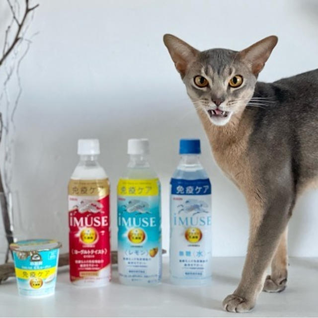免疫力を上げたくてKIRINの「iMUSE」を飲んでみることにしました　＆楽天マラソンのお買い物あれこれ