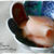 保存食作り　ガリ
