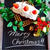 2014＊Xmas　Advent calendar＊Dec.25＊デビルズケーキ