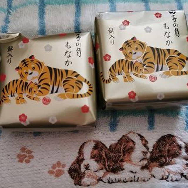 今日のおやつ♪ 御菓子庵 田子の月「田子の月もなか」 / 昨日氷かきを頑張ったので…