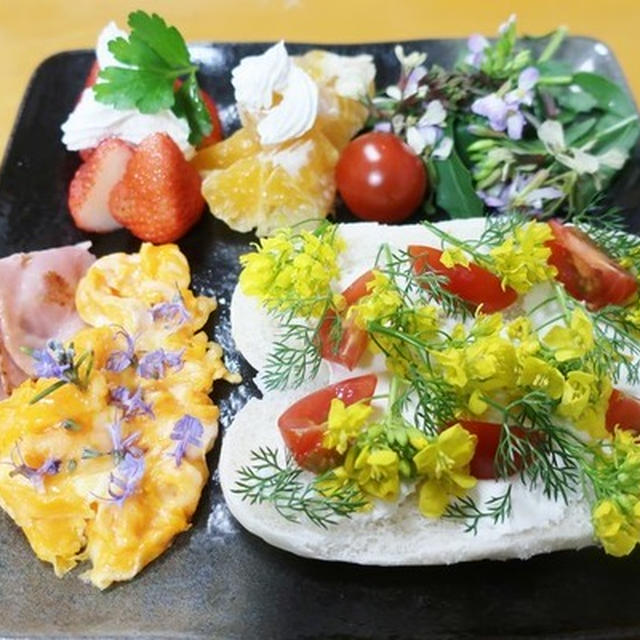朝ご飯ですよ～ハーブな朝食プレートとイタドリ～