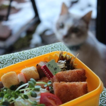 【普通弁】雪が積もった朝だけどのり弁