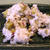 緑豆とサツマイモのおこわand紫花豆の甘煮