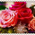 The 20th Anniversary　結婚２０周年 ♪