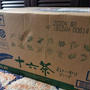 嬉しいお届け物♪ #当選品 #本当選 #十六茶