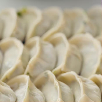 鶏肉餃子