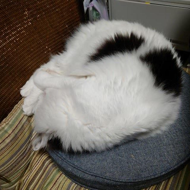 今年も残り半年…