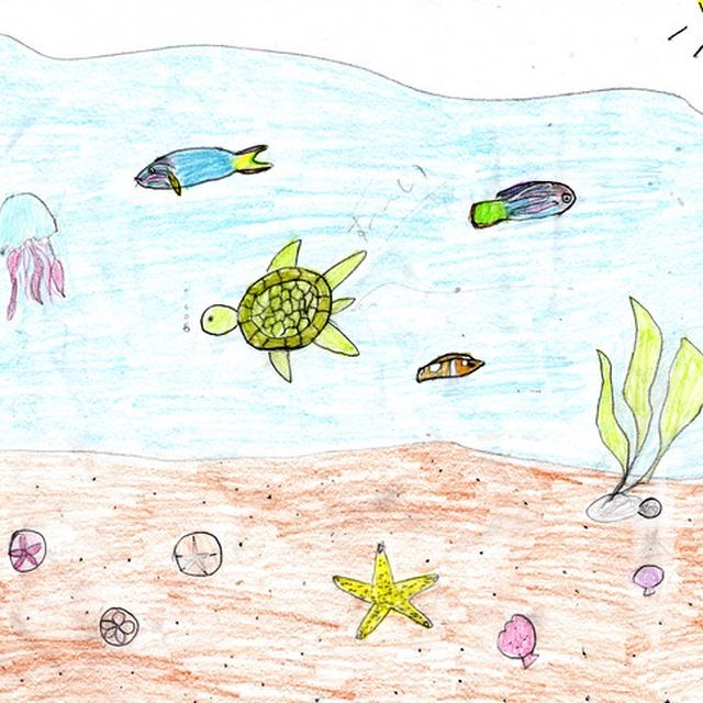 8歳児と5歳児の海の図鑑