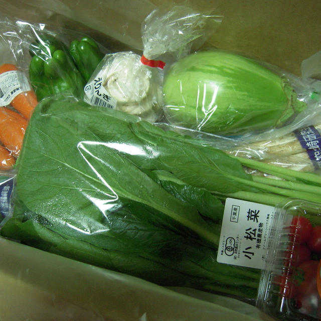 「Ｏｉｓｉｘ野菜嫌い克服セット」で焼肉