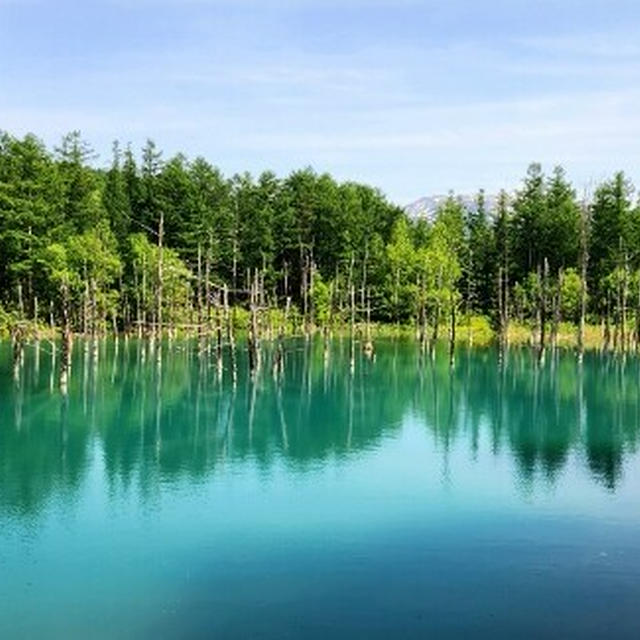 北海道旅行～２０２５～②