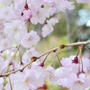 2012.04.20