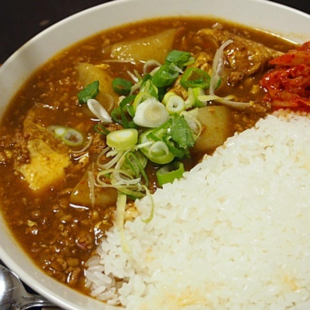 厚揚げと大根の鶏そぼろあんかけは、カレーに変換可能である