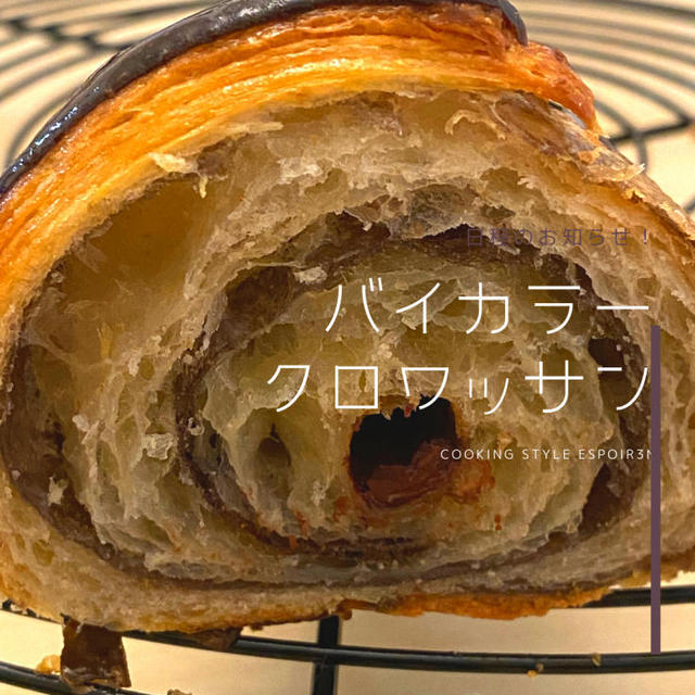 自家製酵母のバイカラークロワッサンのコツ