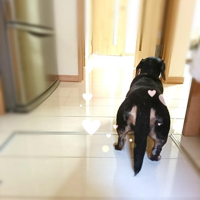 ＊元気になりました＊