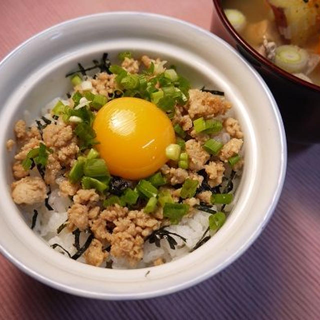 鶏そぼろ丼そして環水公園